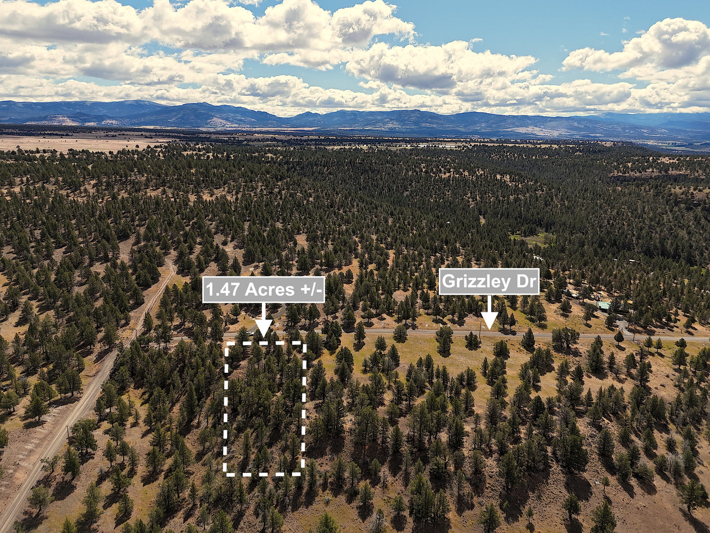 1.47 Acres Land For Sale In Alturas CA
