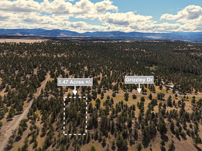 1.47 Acres Land For Sale In Alturas CA