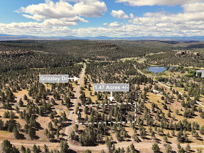 1.47 Acres Land For Sale In Alturas CA