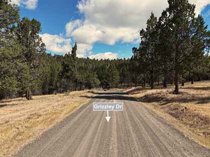 1.47 Acres Land For Sale In Alturas CA