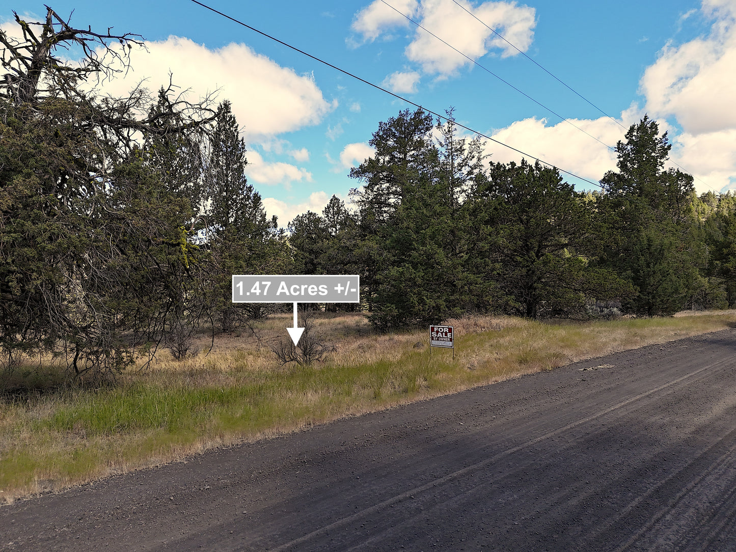 1.47 Acres Land For Sale In Alturas CA