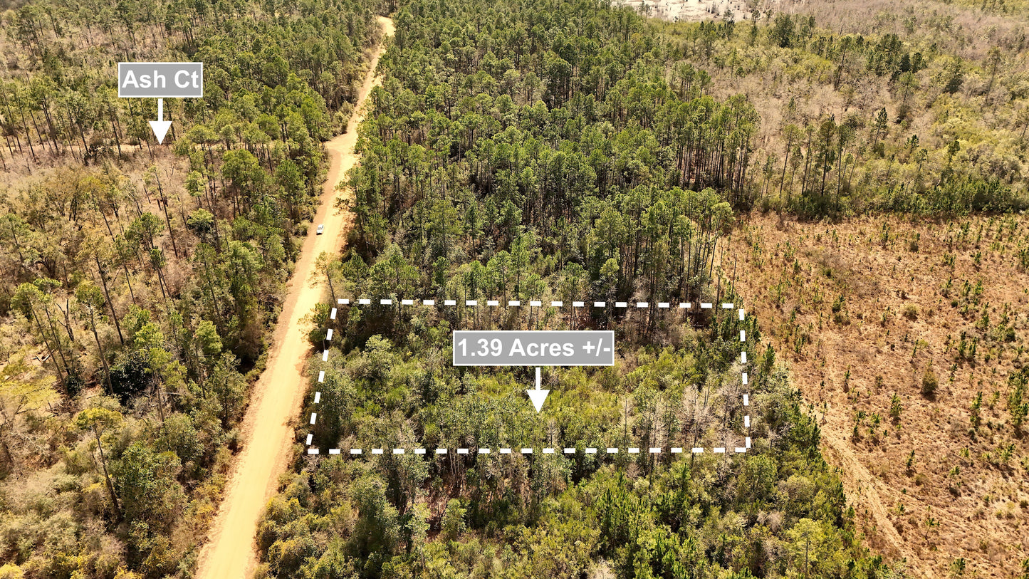 1.39 Acres Land For Sale In Marianna FL