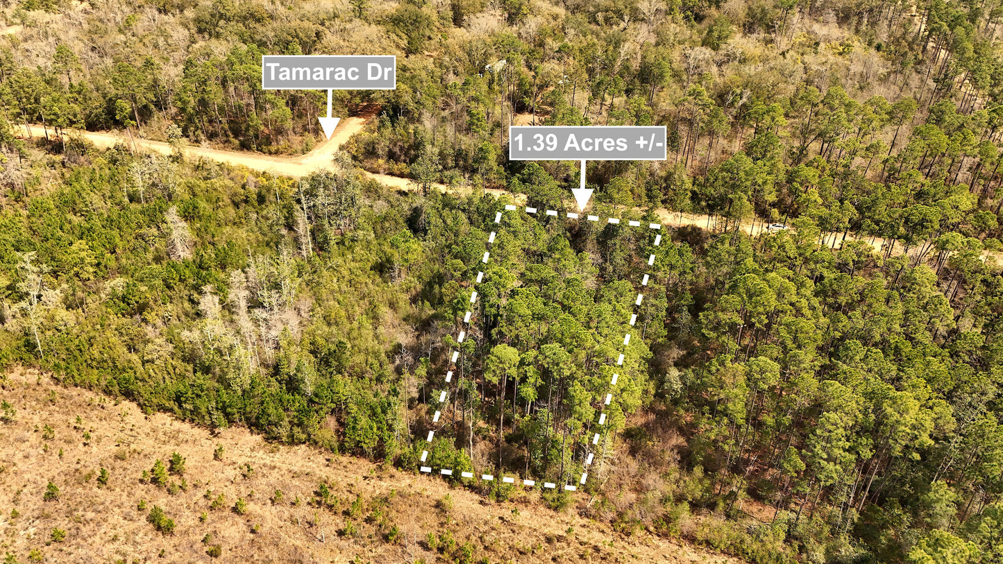 1.39 Acres Land For Sale In Marianna FL