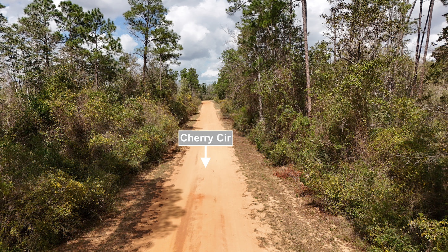 1.39 Acres Land For Sale In Marianna FL