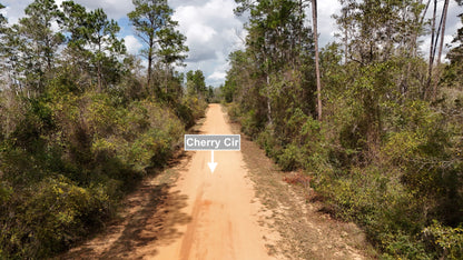 1.39 Acres Land For Sale In Marianna FL