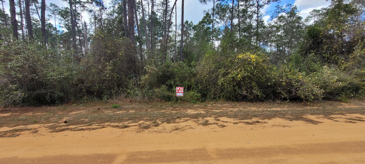 1.39 Acres Land For Sale In Marianna FL