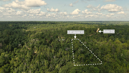 1.07 Acres Land For Sale In Marianna FL