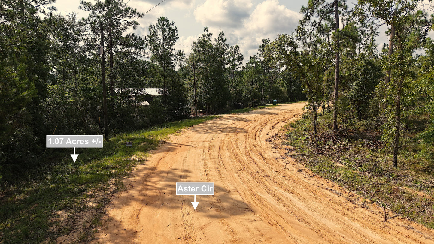 1.07 Acres Land For Sale In Marianna FL