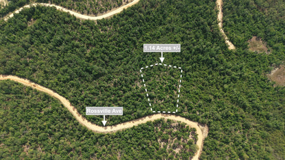1.14 Acres Land For Sale In Alford
