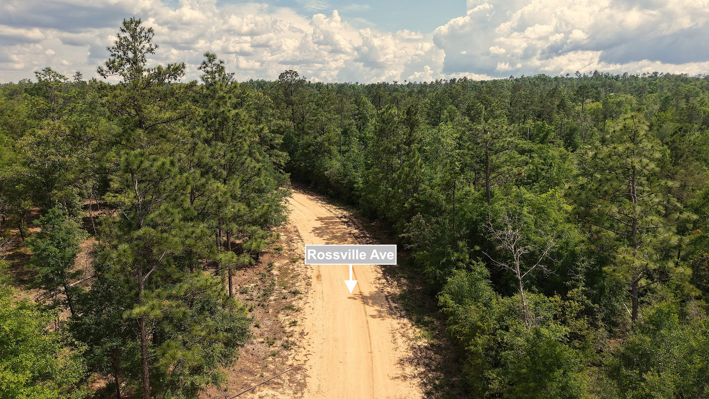 1.14 Acres Land For Sale In Alford
