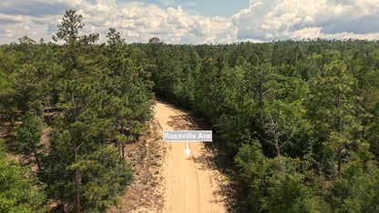 1.14 Acres Land For Sale In Alford