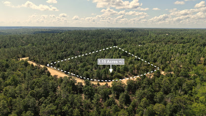 1.15 Acres Land For Sale In Alford FL