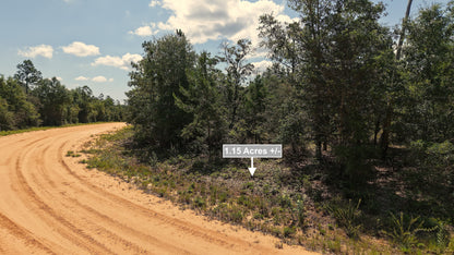 1.15 Acres Land For Sale In Alford FL