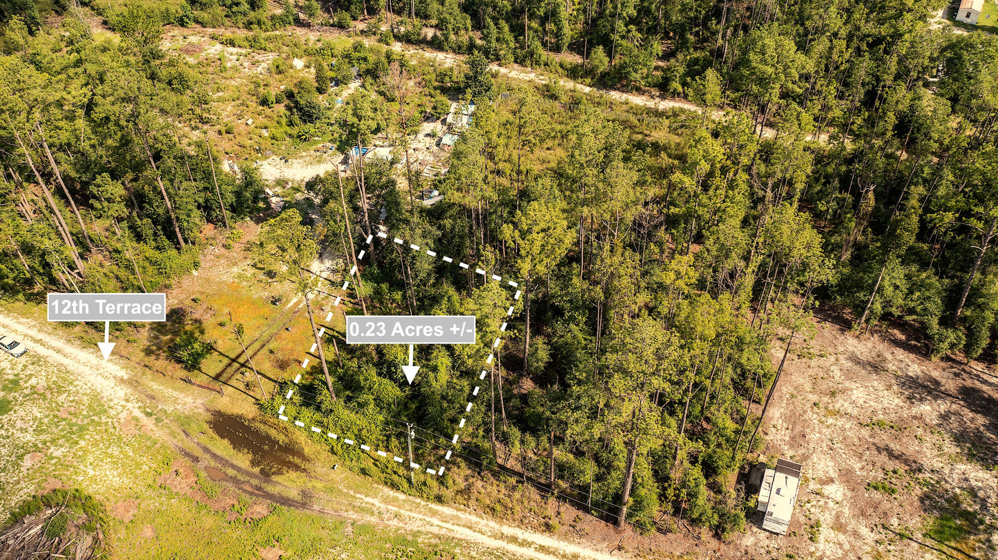 0.23 Acres Land For Sale In Live Oak