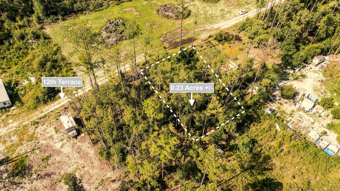 0.23 Acres Land For Sale In Live Oak