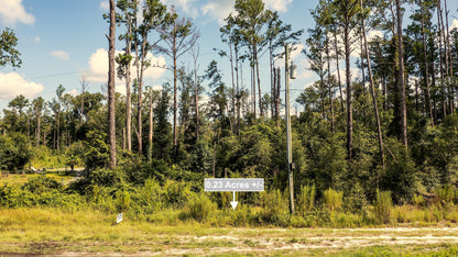 0.23 Acres Land For Sale In Live Oak