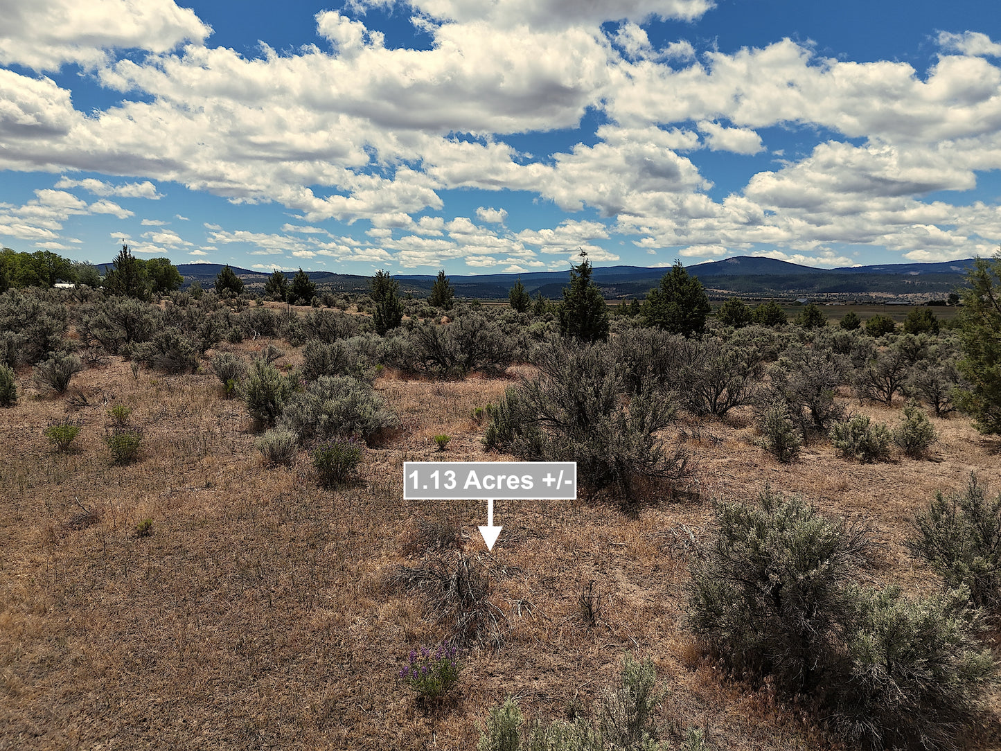 1.13 Acres Land For Sale In Alturas CA