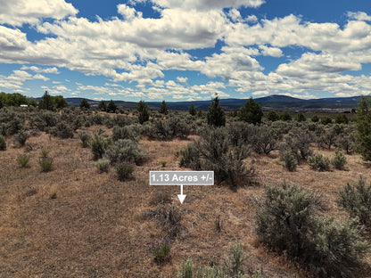 1.13 Acres Land For Sale In Alturas CA