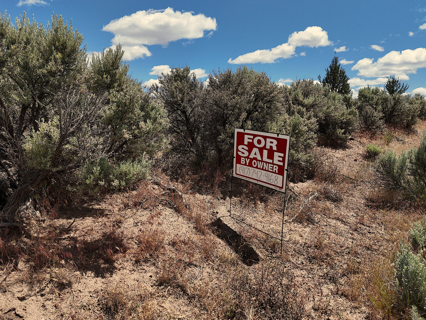 1.13 Acres Land For Sale In Alturas CA