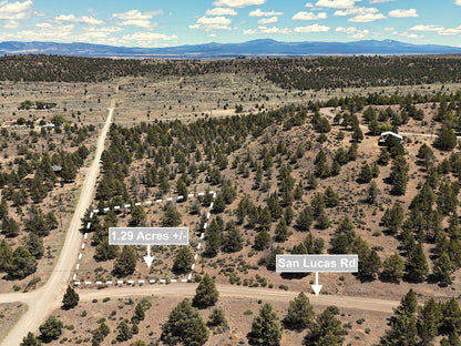 1.29 Acres Land For Sale In Alturas CA