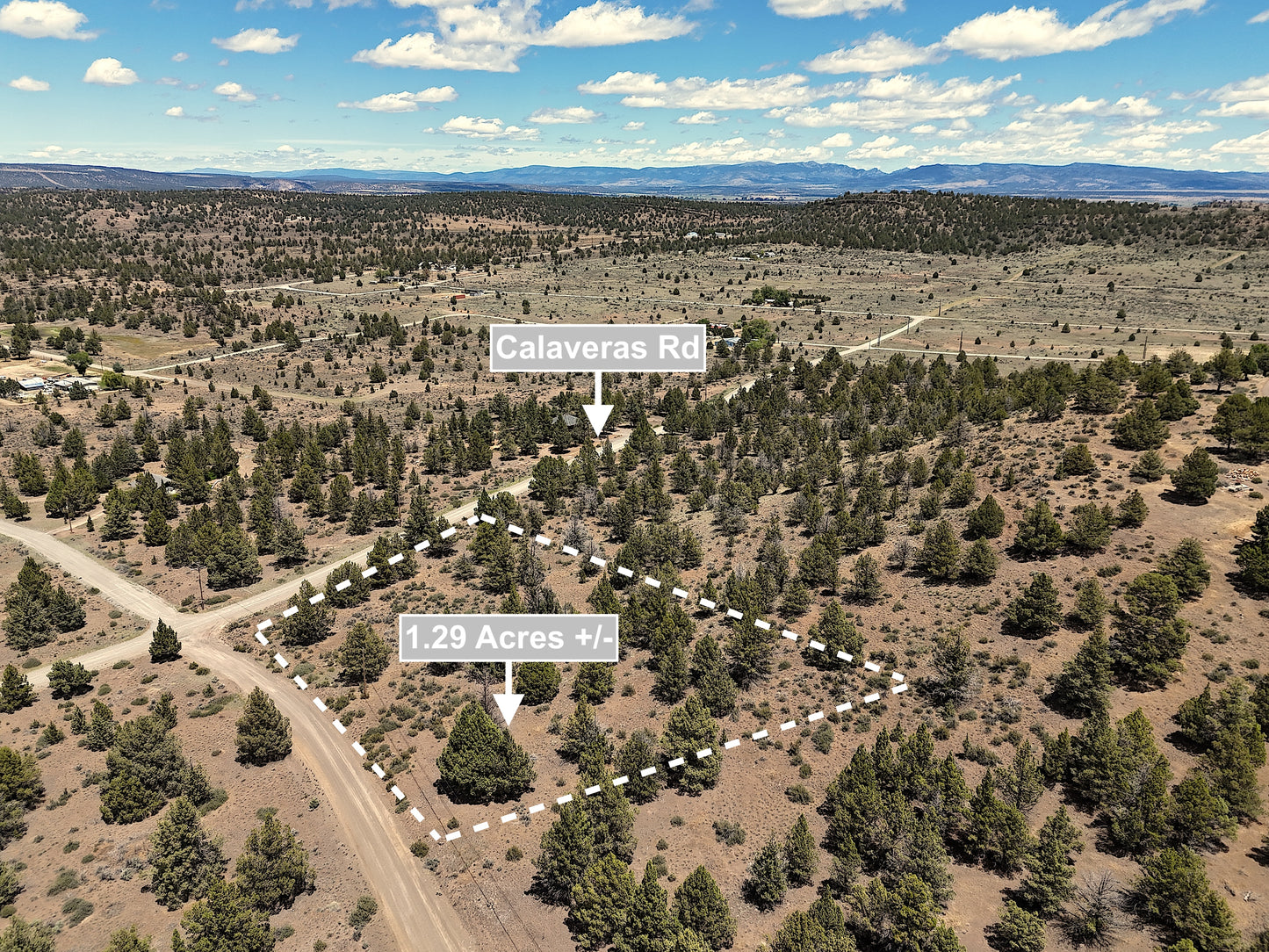 1.29 Acres Land For Sale In Alturas CA