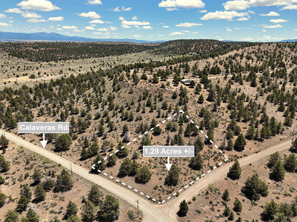 1.29 Acres Land For Sale In Alturas CA