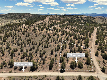 1.29 Acres Land For Sale In Alturas CA