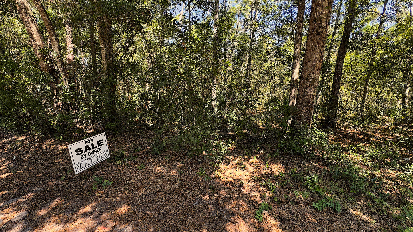 0.17 Acres Land (Near Lake) For Sale In Fort McCoy