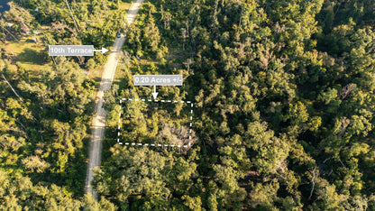 0.20 Acres Land For Sale Near Lake In Live Oak