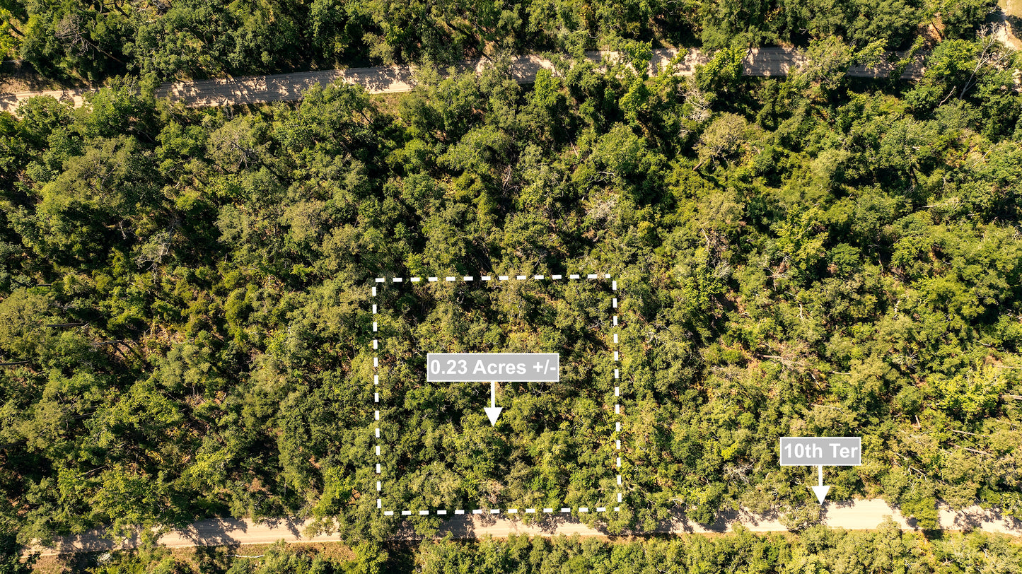 0.23 Acres Land For Sale Near Suwannee River In Live Oak
