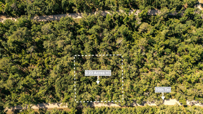 0.23 Acres Land For Sale Near Suwannee River In Live Oak