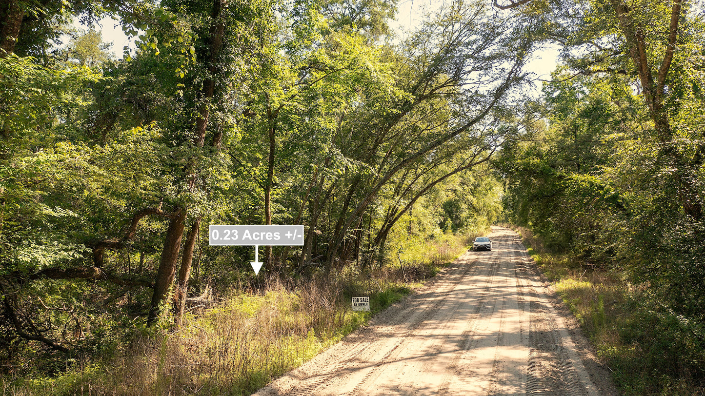 0.23 Acres Land For Sale Near Suwannee River In Live Oak