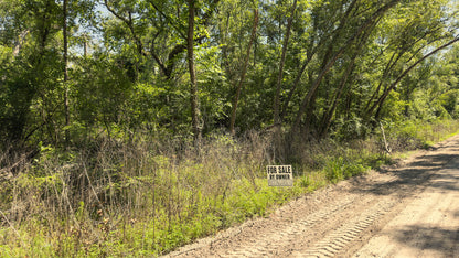 0.23 Acres Land For Sale Near Suwannee River In Live Oak