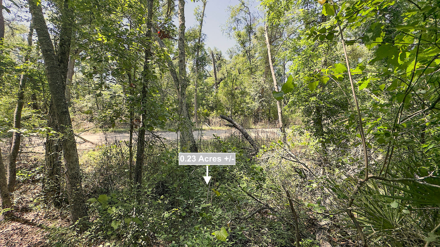 0.23 Acres Land For Sale Near Suwannee River In Live Oak