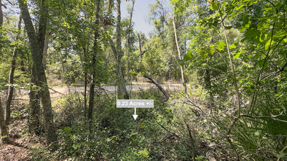 0.23 Acres Land For Sale Near Suwannee River In Live Oak