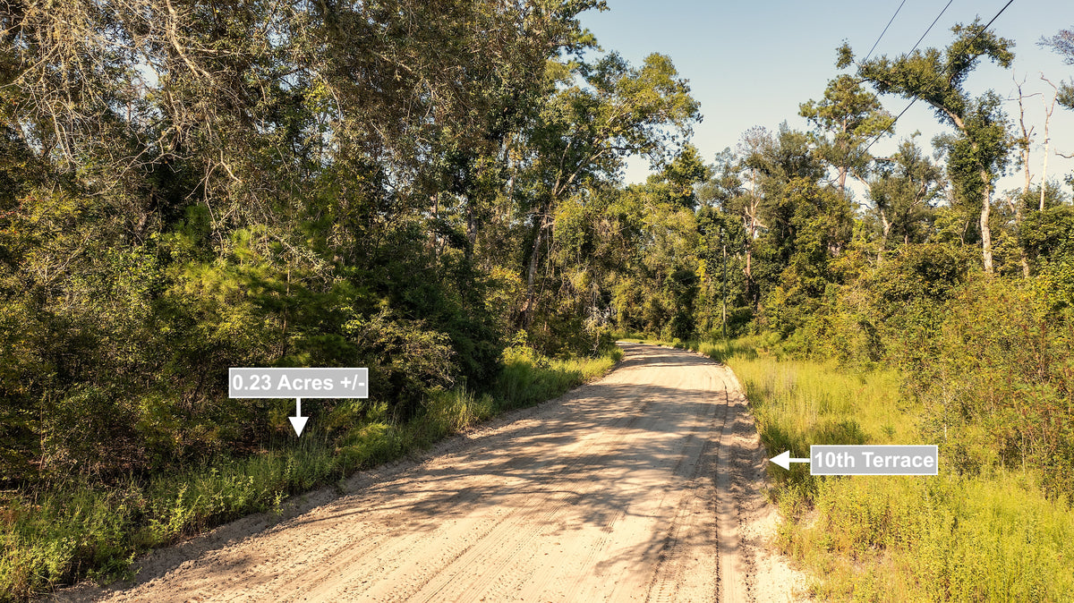 0.23 Acres Land For Sale Near Lake In Live Oak