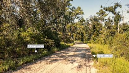 0.23 Acres Land For Sale Near Lake In Live Oak
