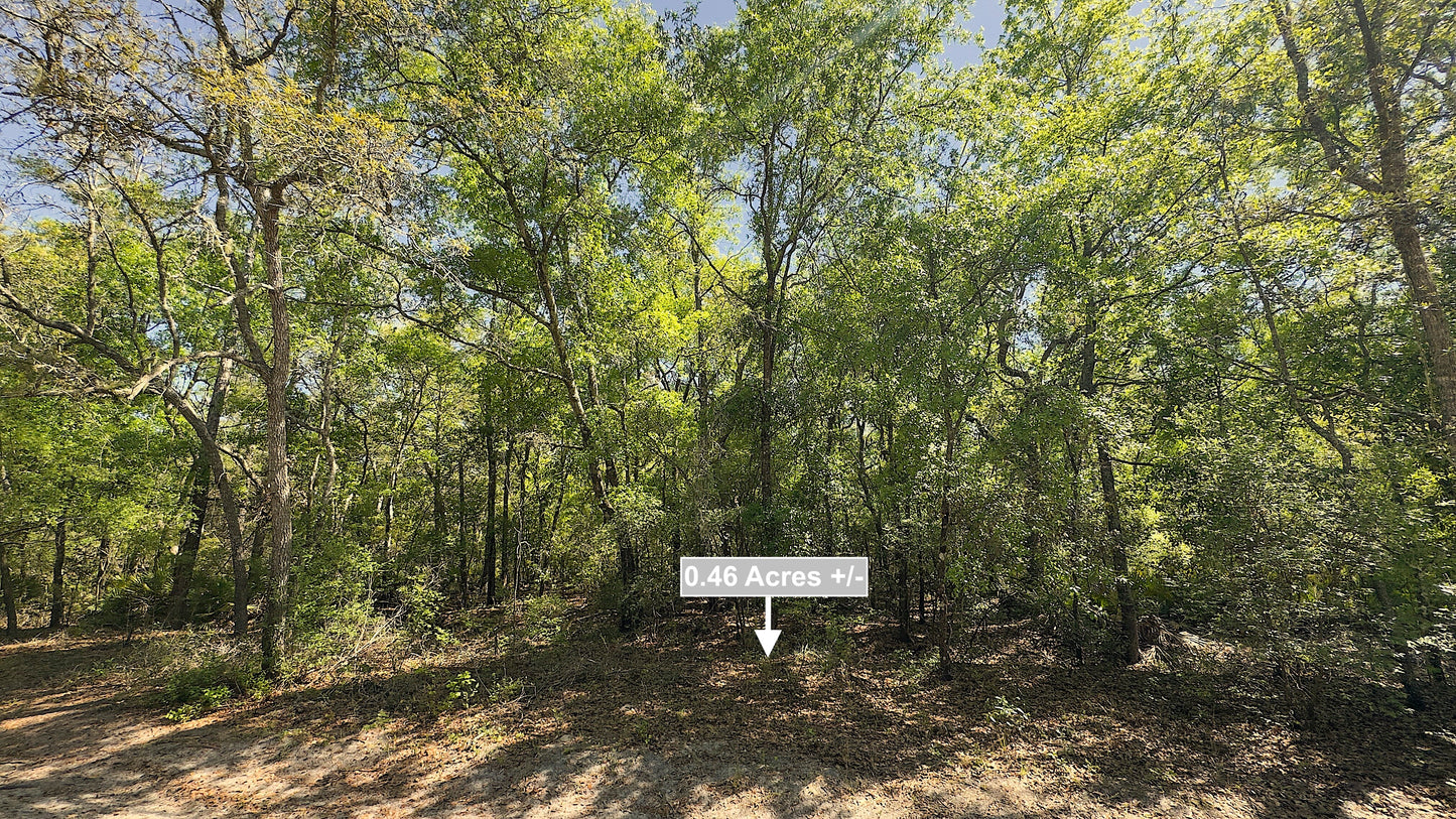0.46 Acres Land For Sale In Live Oak