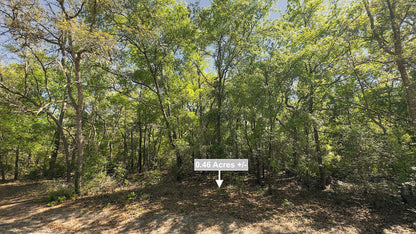 0.46 Acres Land For Sale In Live Oak