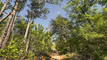 0.46 Acres Land For Sale In Live Oak