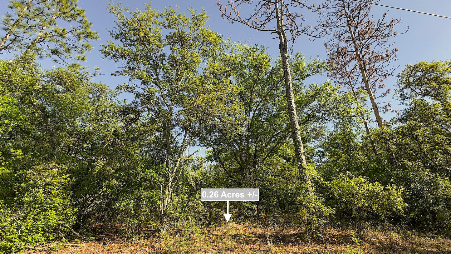 0.26 Acres Land For Sale Near River In Live Oak