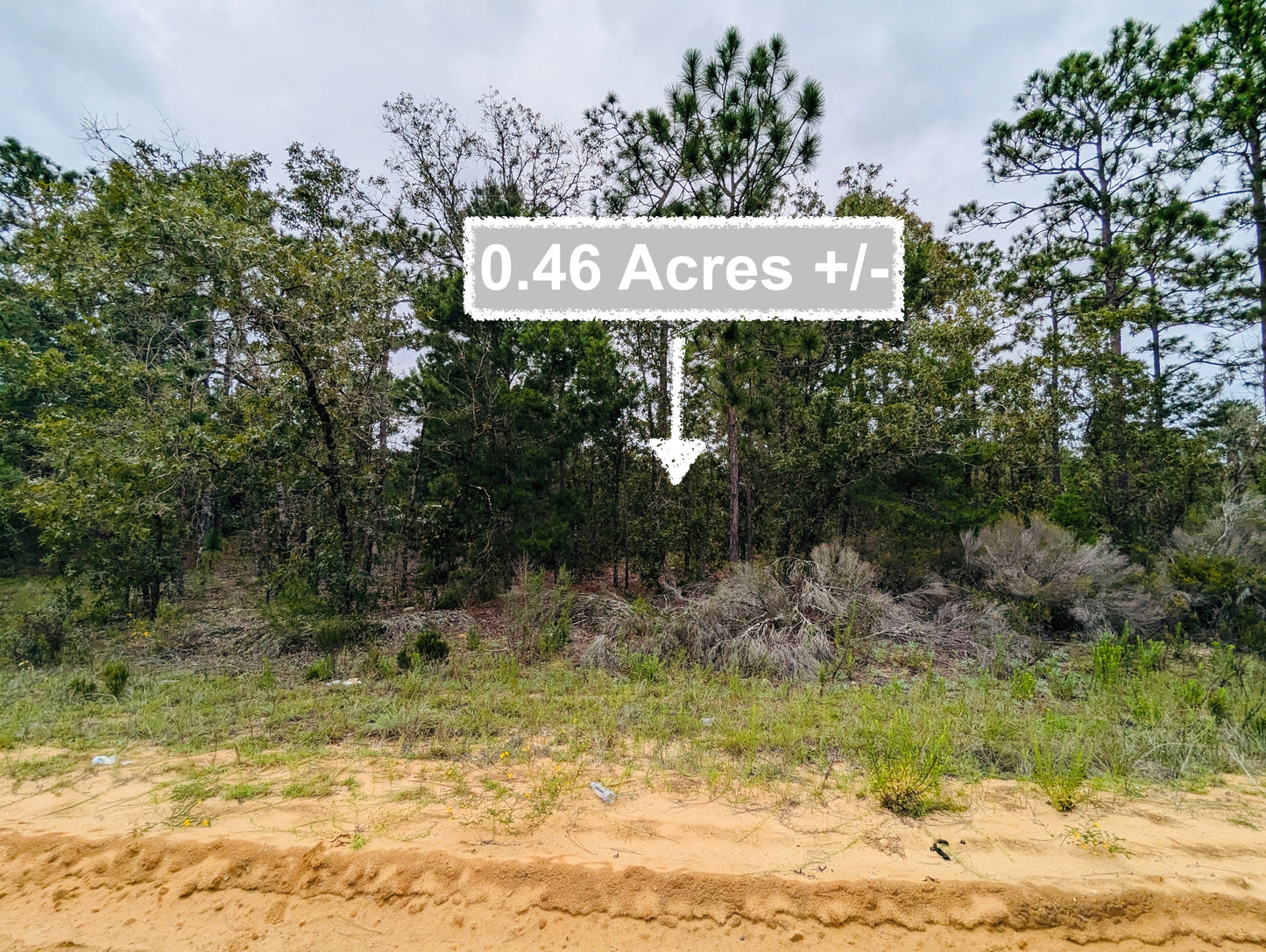0.46 Acres Of Land In Interlachen
