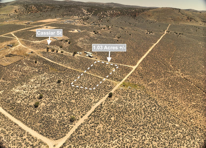 1.03 Acres Land For Sale In Elko NV