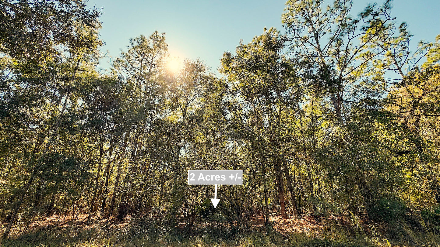 2 Acres Land For Sale Near Suwannee River In O Brien