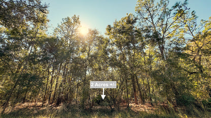 2 Acres Land For Sale Near Suwannee River In O Brien