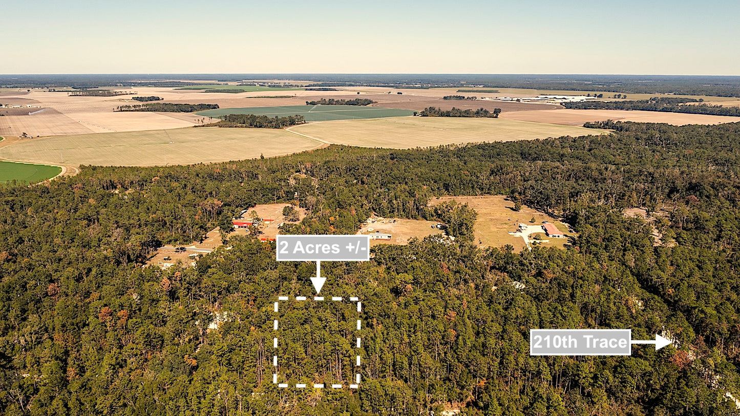 2 Acres Land For Sale Near Suwannee River In O Brien