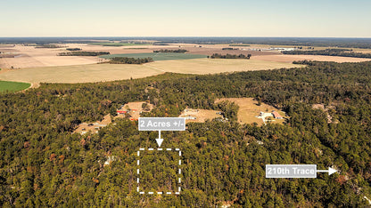2 Acres Land For Sale Near Suwannee River In O Brien