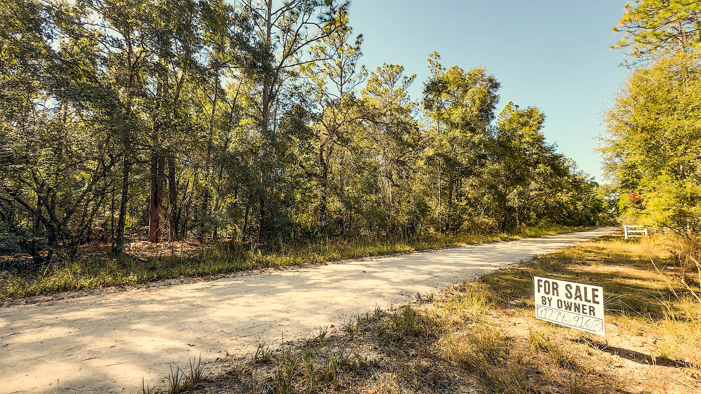 2 Acres Land For Sale Near Suwannee River In O Brien