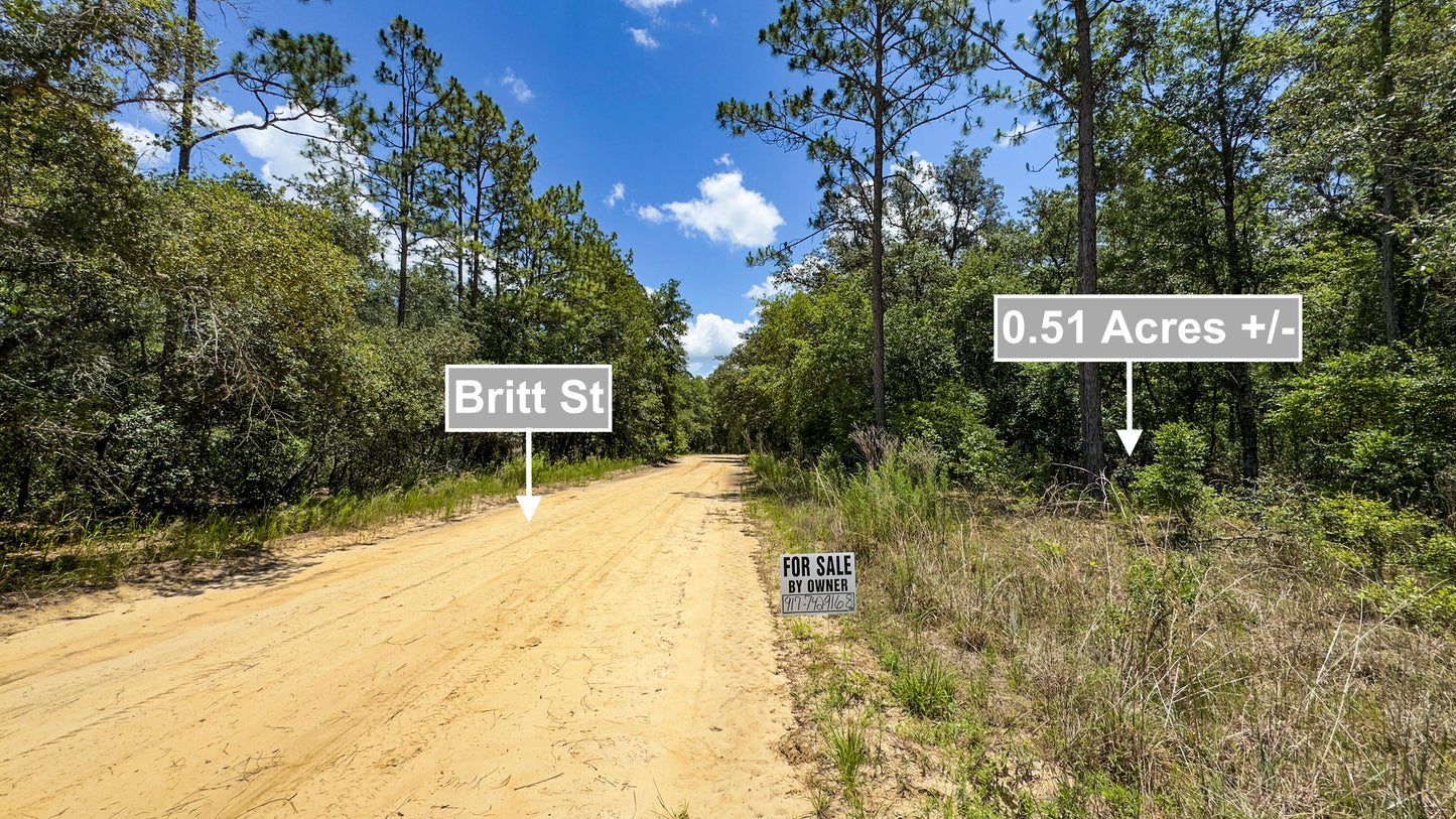 0.51 Acres Land For Sale In Interlachen