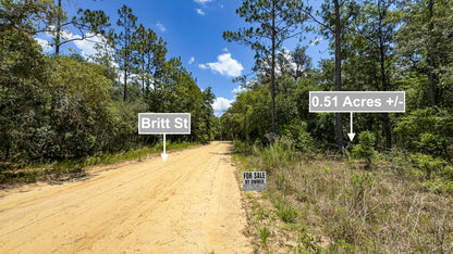 0.51 Acres Land For Sale In Interlachen